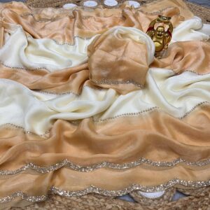 Ethereal Charm Space Silk Saree